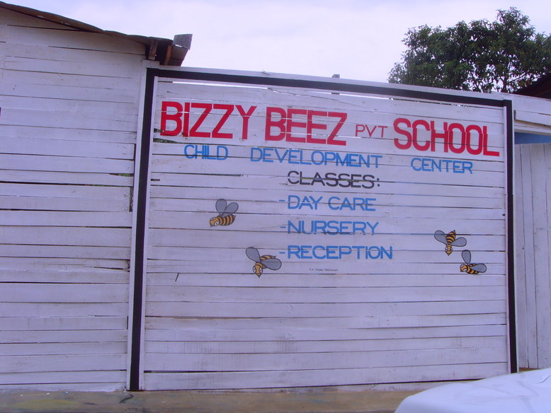 Bizzy Bees  (1)